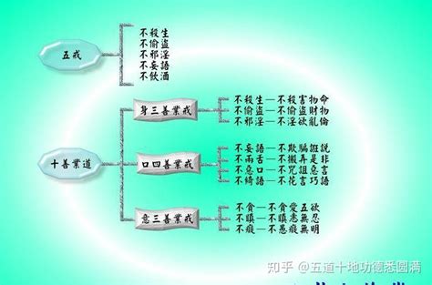 善事有哪些|列举一下，善事有哪些呢？